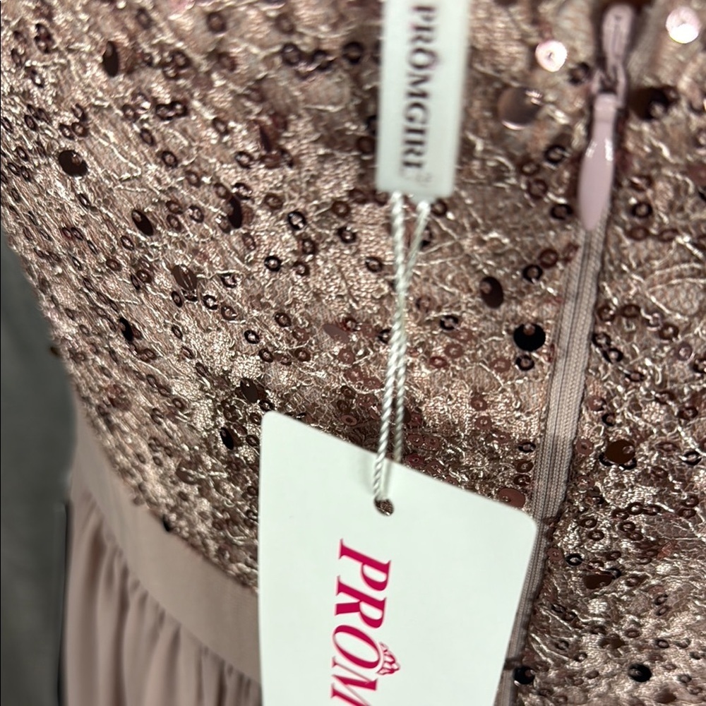PromGirl Blush Maxi Dress with Sequin Detail Size Large - Picture 12 of 12